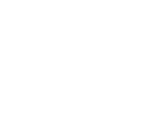 Louis XIII